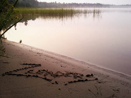 Picture
